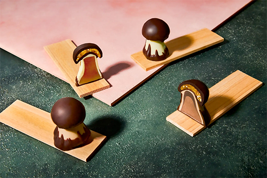 クルイゼル シャンピニオン