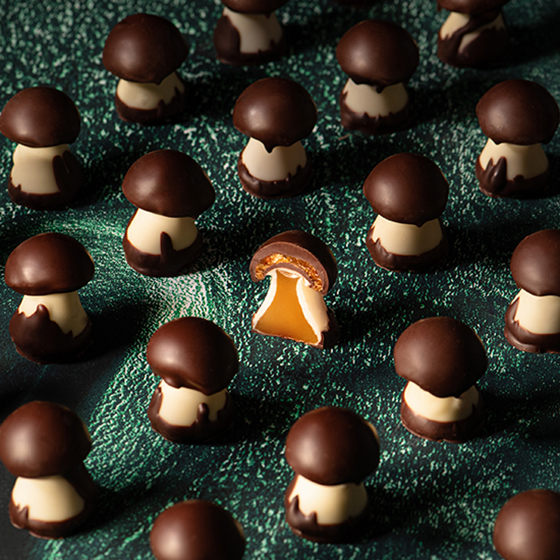 ミシェルクルイゼルバレンタインイベント